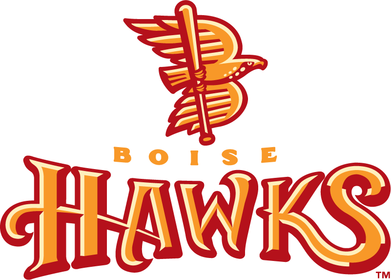 Boise Hawks 2007-2010 Primary Logo vinyl decal